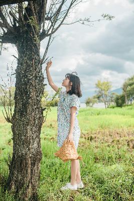 都市风云乔梁巅峰宏图