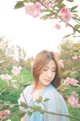 在线观看高清免费完整版电影